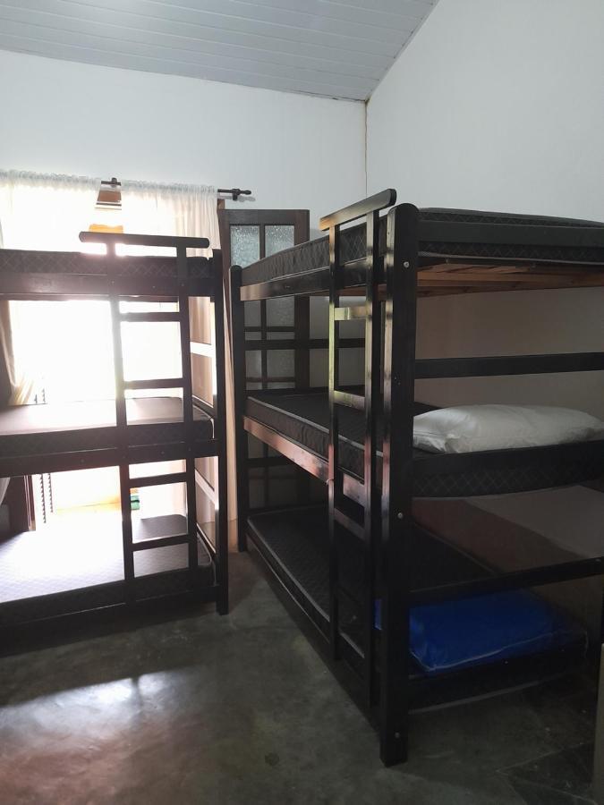Solaris Hostel إلهابيلا المظهر الخارجي الصورة